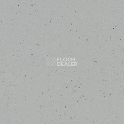 Линолеум Forbo Marmoleum Decibel on Order 358235 earl grey chocolate фото 1 | FLOORDEALER